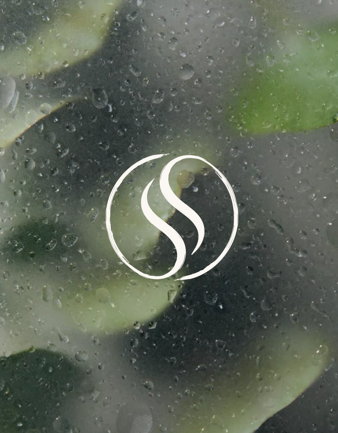 Dezelfde rust, een nieuw hoofdstuk voor Saré Wellness