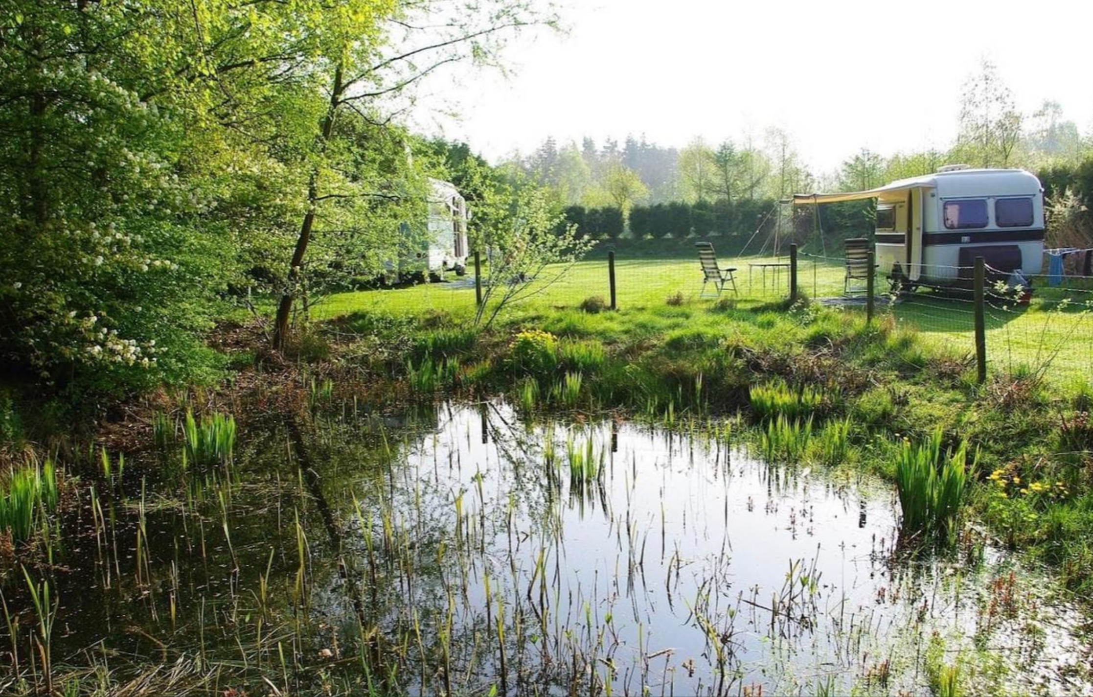 De Paardebloem — foto 1