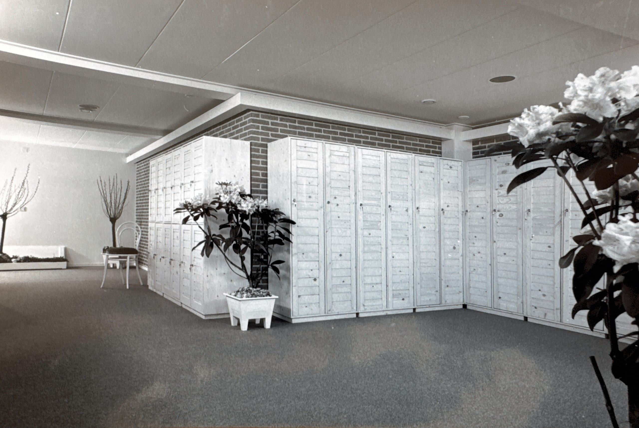 Sare_Wellness_1985-5